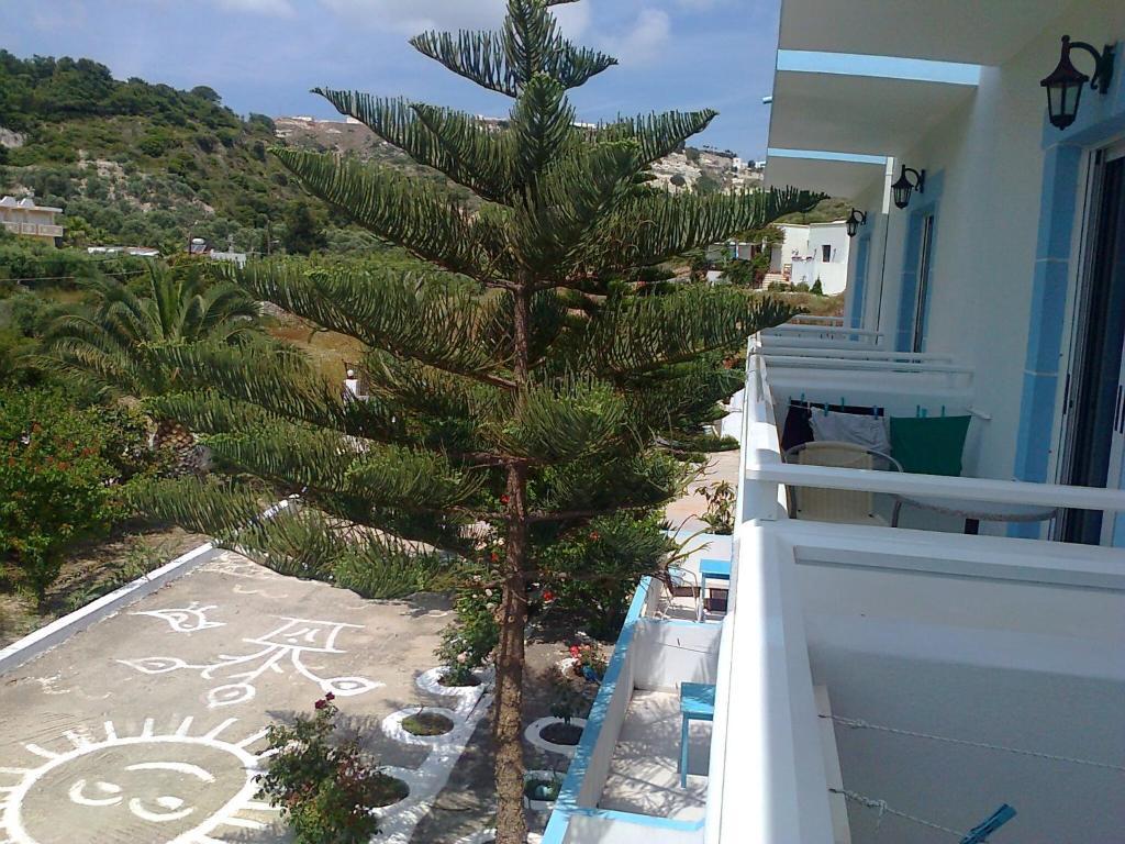 Dionysia Apartments Kefalos  Exterior photo