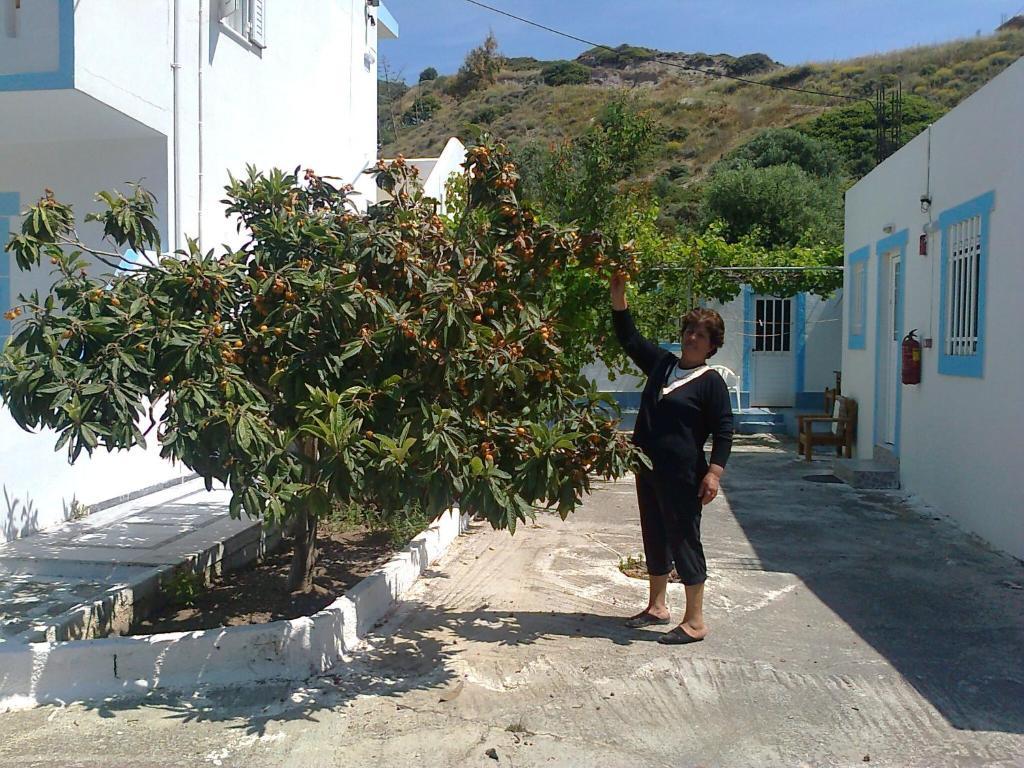 Dionysia Apartments Kefalos  Exterior photo