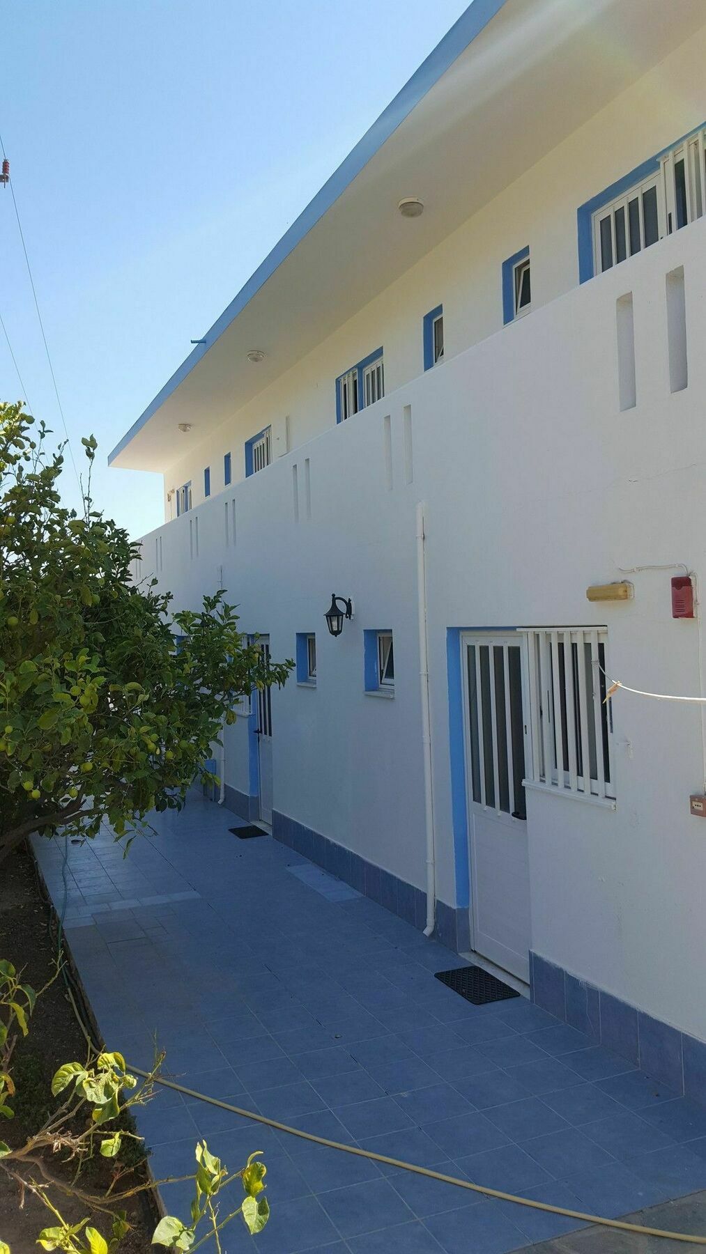 Dionysia Apartments Kefalos  Exterior photo